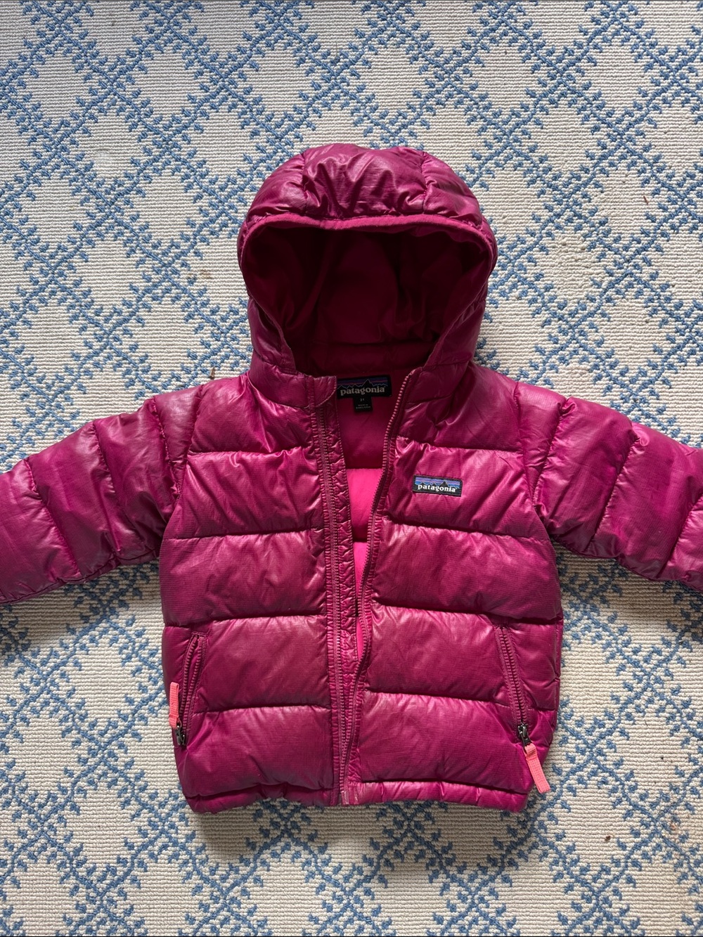 Patagonia Hi-Loft Hooded Down Jacket